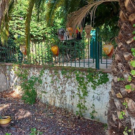 Suite & Spa Panoramic Olivars Pau Buitenkant foto